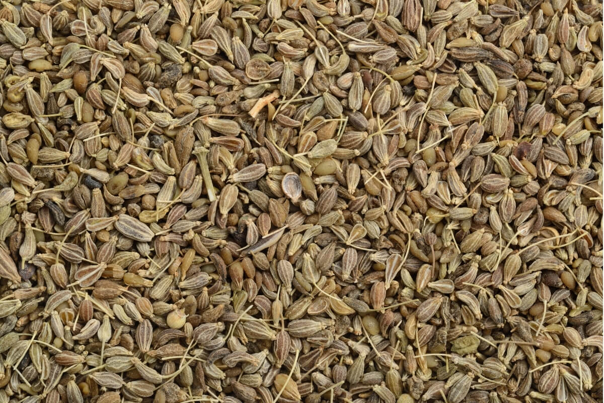 Aniseed - Premium Mediterranean Quality