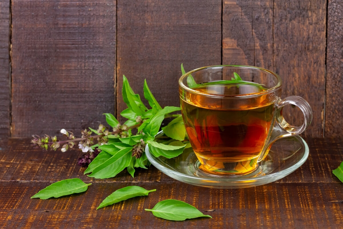 Dried Tulsi Leaves