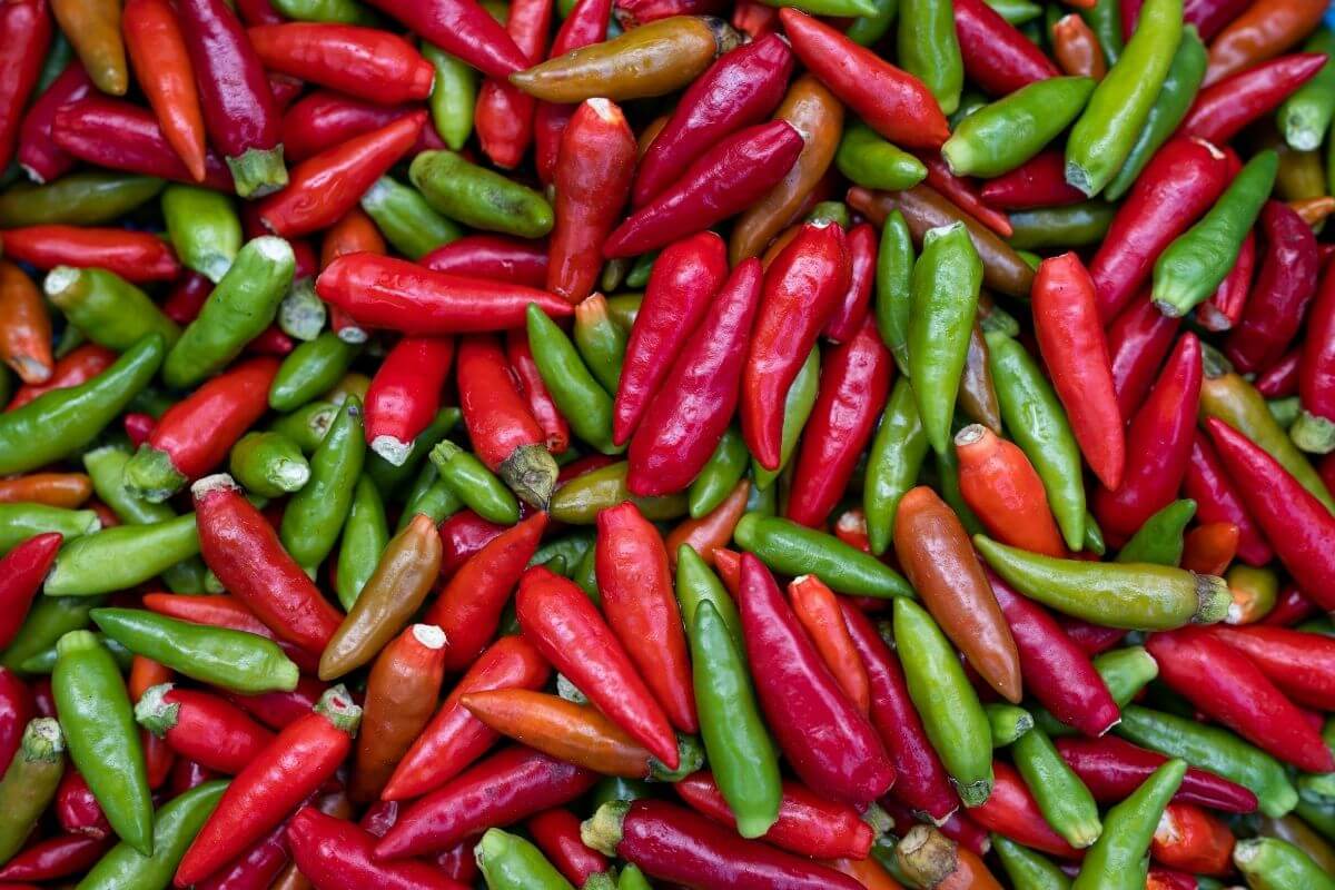 Bird's Eye Chilli - Premium Northeast India Quality