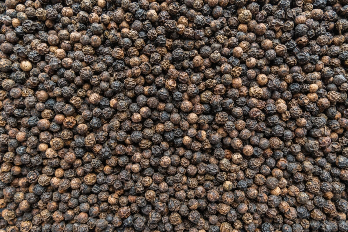 Black Pepper Export - Premium Kerala Malabar Quality
