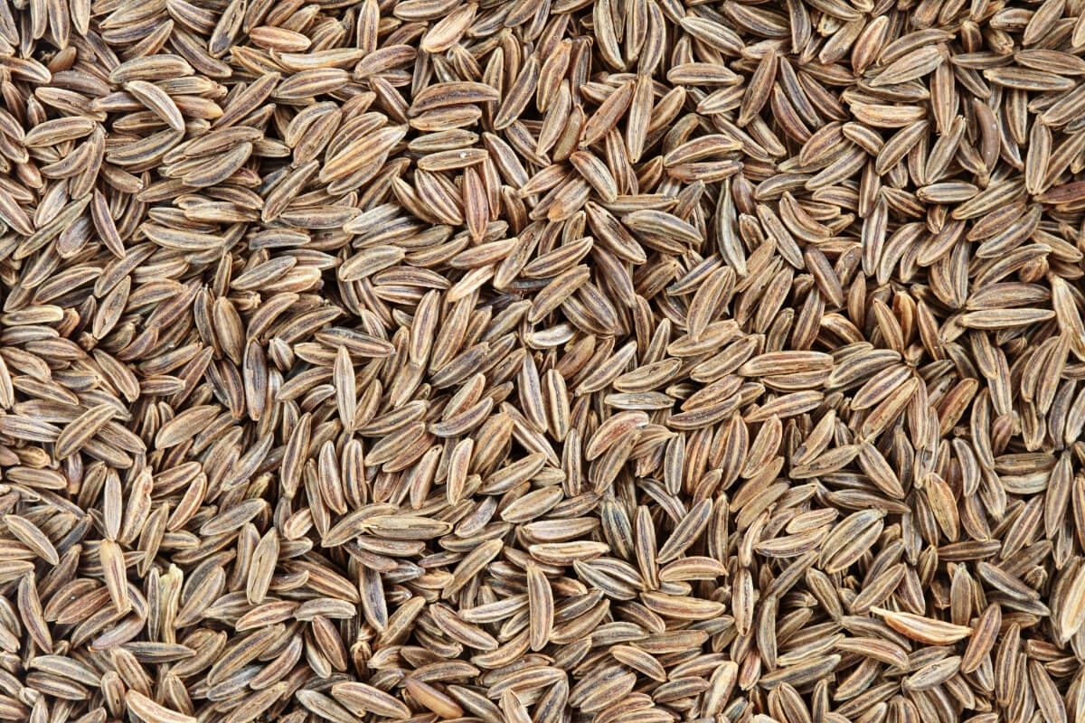 Caraway Seeds - Premium Kashmir Quality