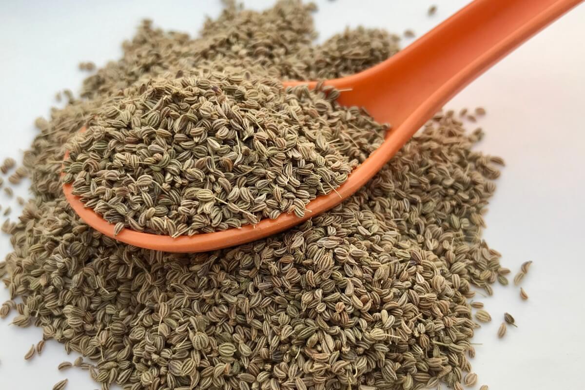 Premium Grade Ajwain