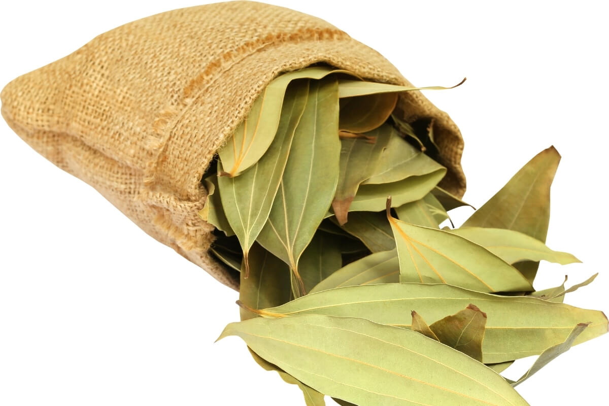Cassia Powder