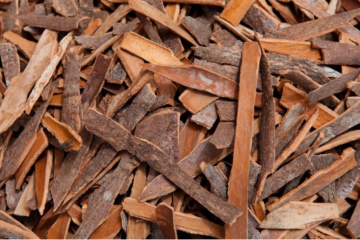 Cinnamon Sticks Bundle