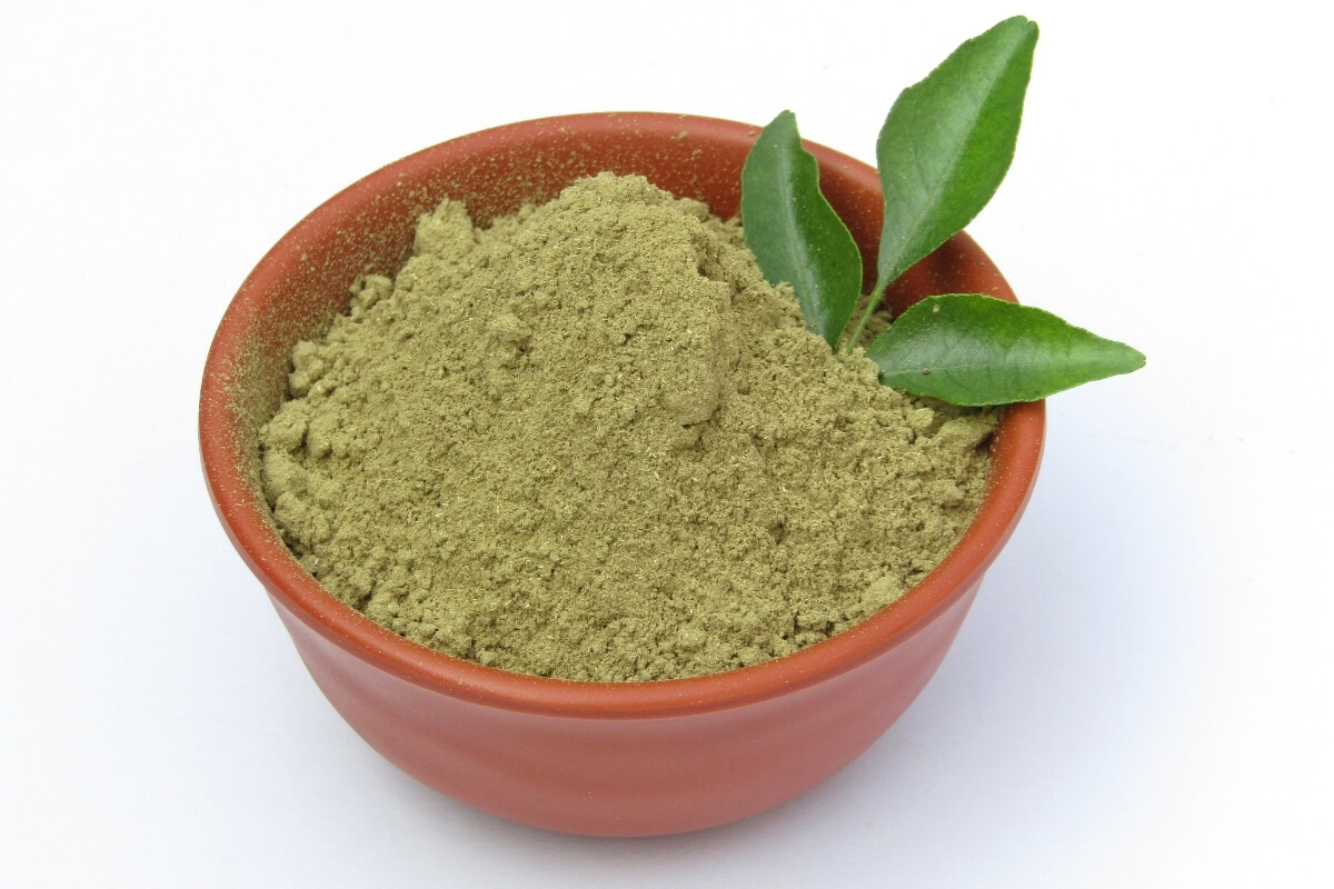 Curry Leaves Plant Cultivation