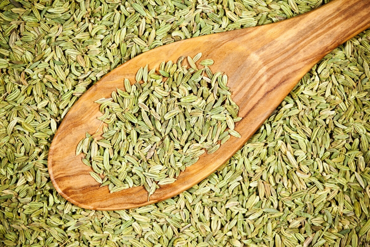 Whole Fennel Seeds