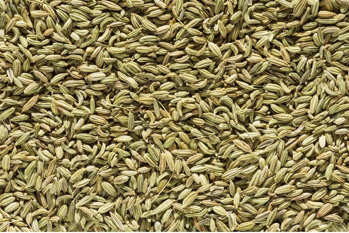 Ground Fennel Powder