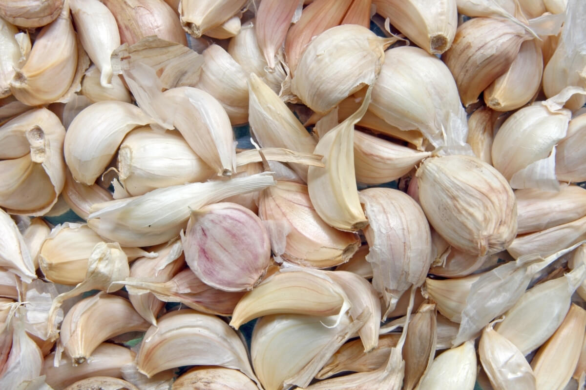 BOM Grade Large Garlic