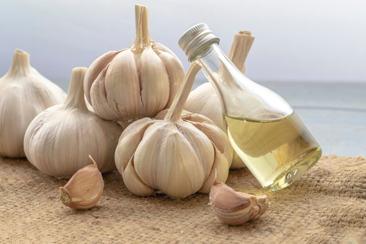 Dried Garlic Export Quality