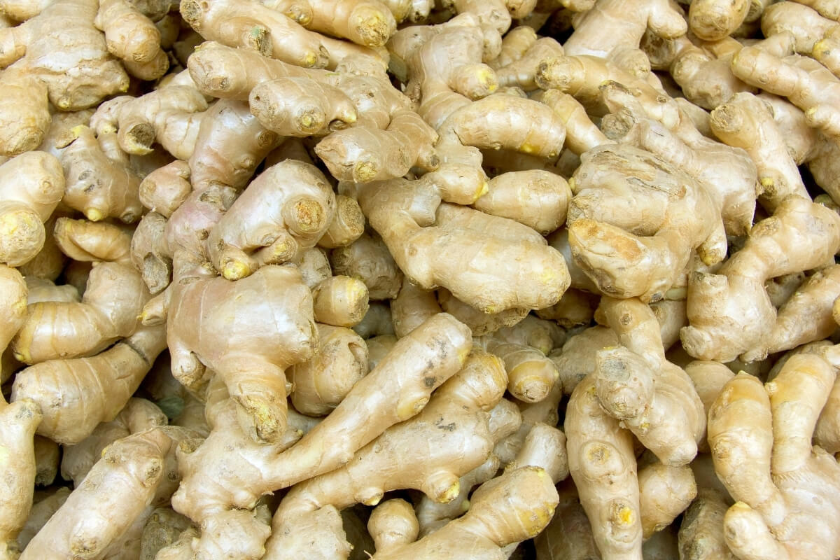 Dried Ginger Pieces