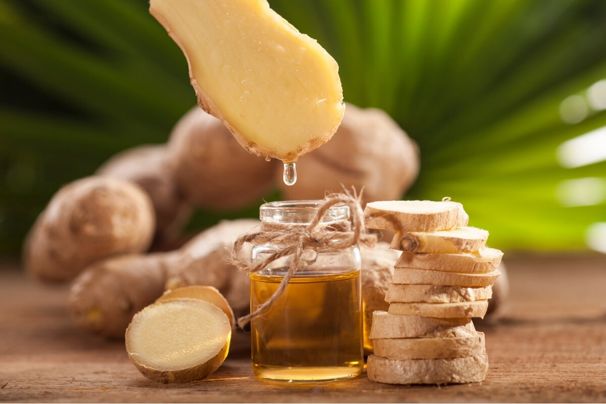 Ginger Cultivation