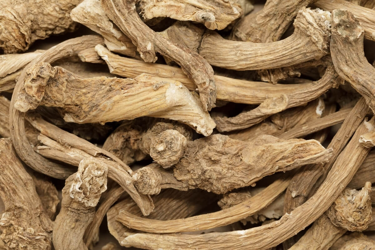 Horseradish Powder