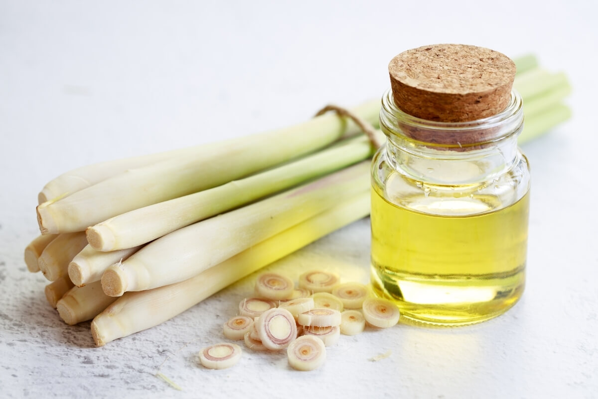 Lemongrass Essential Oil