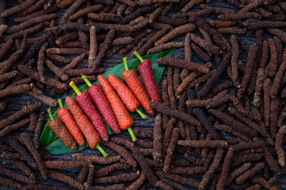 Long Pepper - Premium Indian Pippali Quality