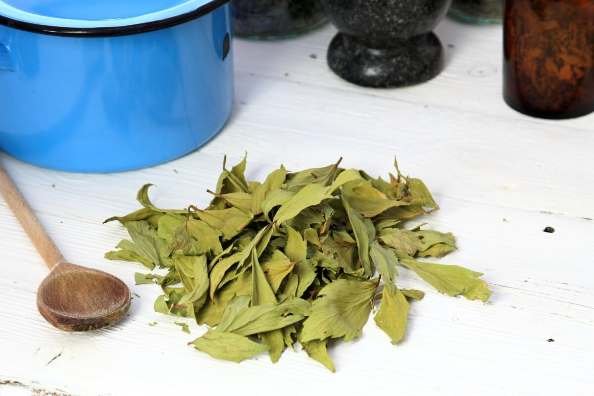 Lovage Seeds