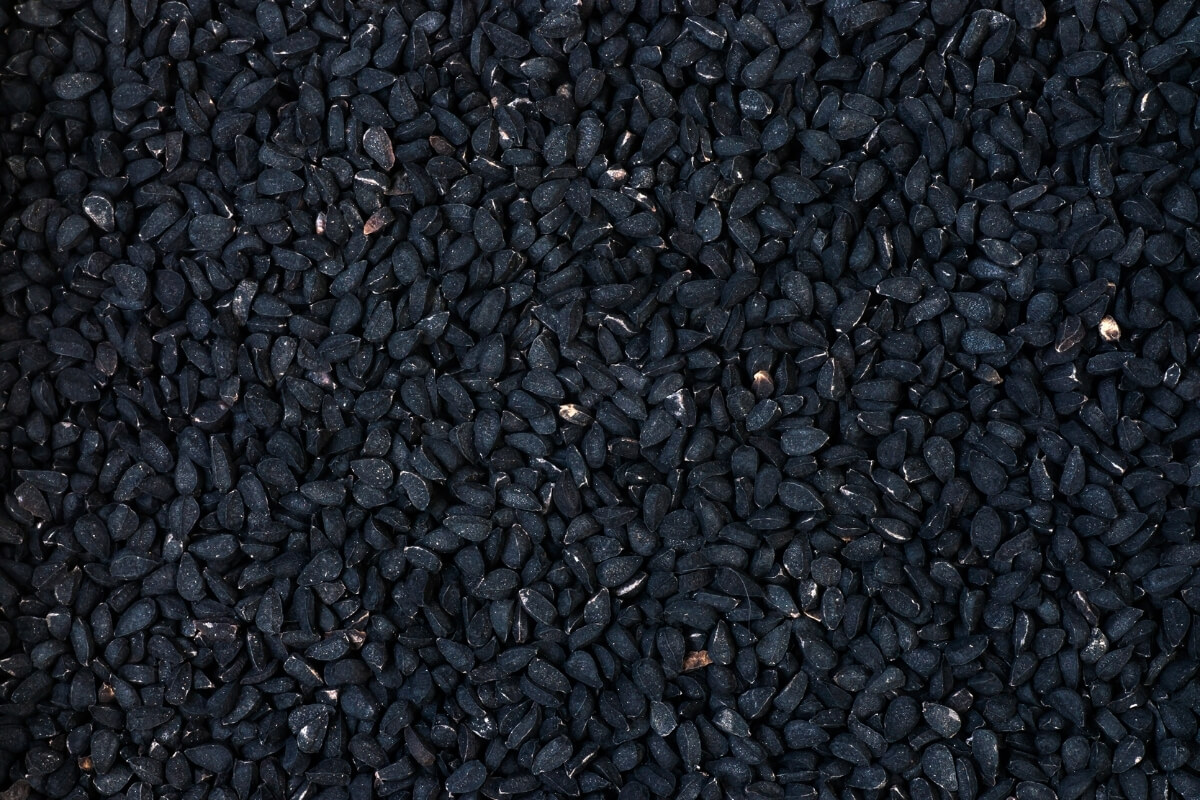 Nigella Seeds - Premium Black Cumin Kalonji