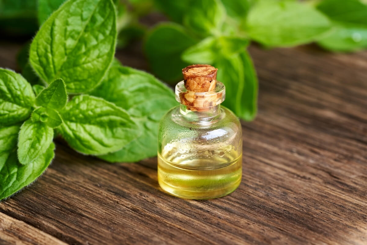 Oregano Essential Oil