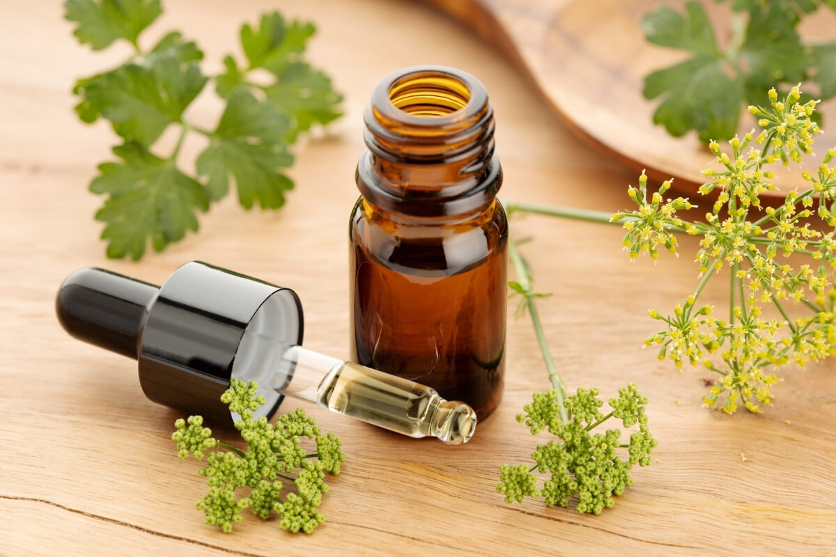 Export Packaging