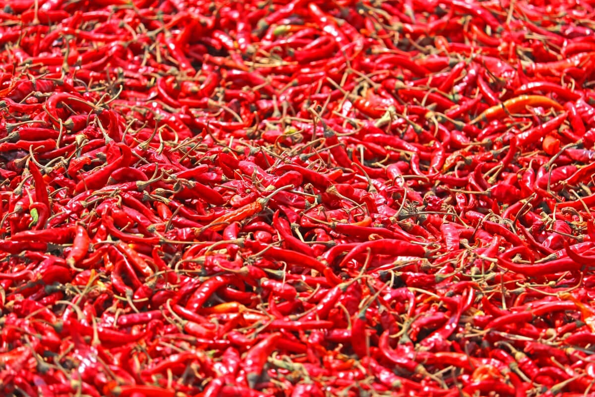 Red Chilli - Premium Export Quality