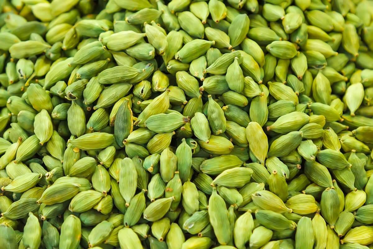 Small Cardamom - Premium Kerala Quality
