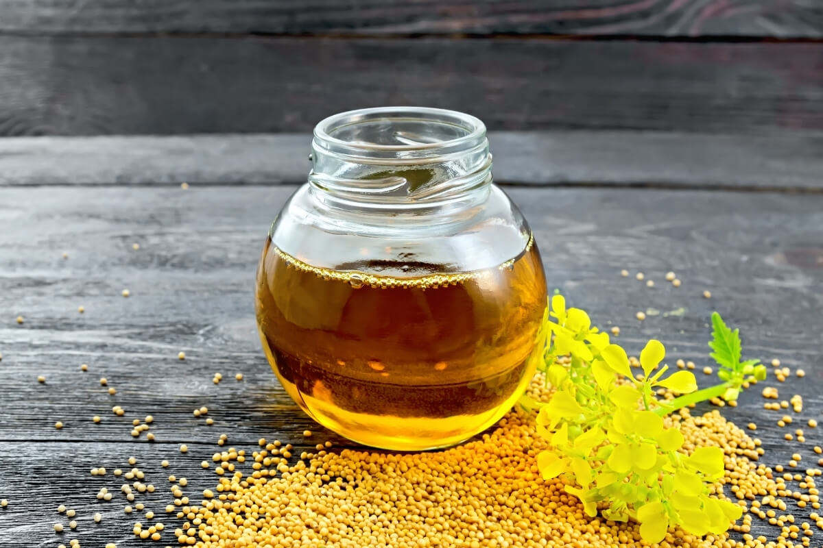 Premium Spice Oils - Essential Oil Collection