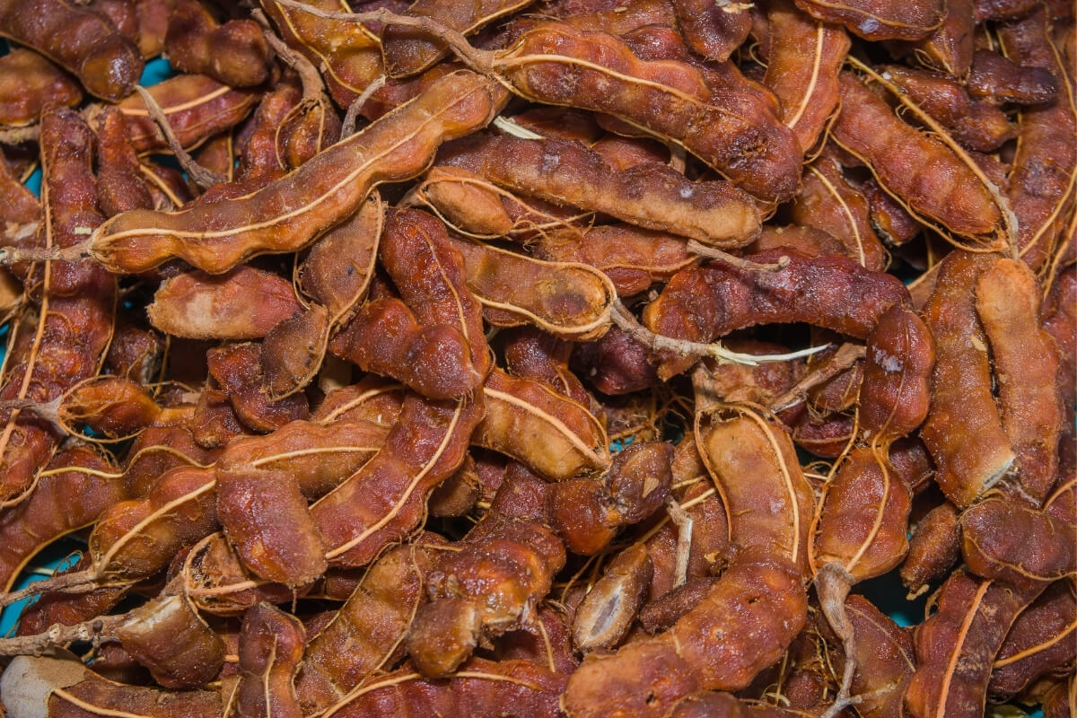 Tamarind Pulp Brown Variety