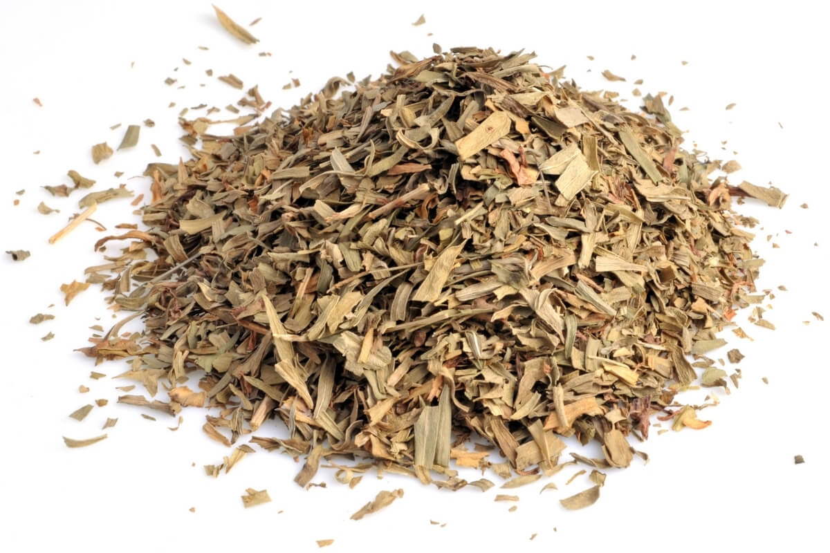 Tarragon - Premium French & Russian Varieties
