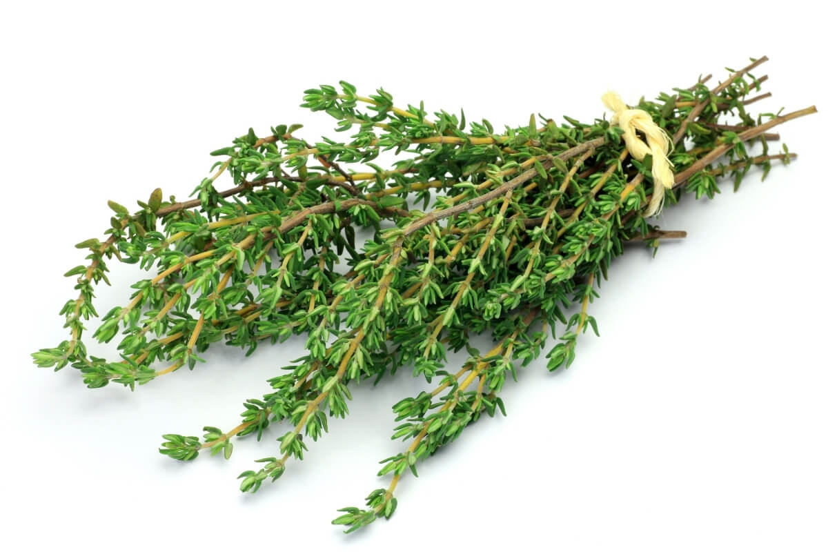 Thyme Powder