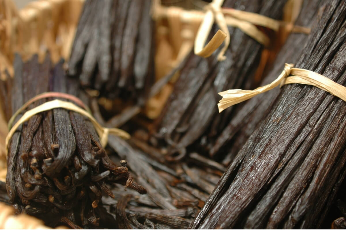 Vanilla Curing Process